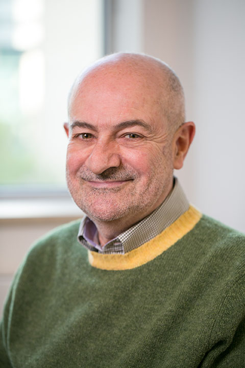 dr. mark bernstein